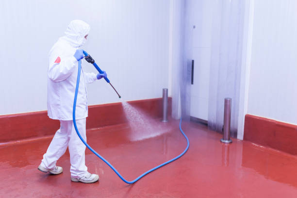 Best House Exterior Washing  in Sunray, TX