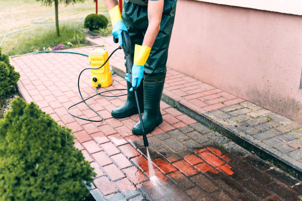 Best Animal Enclosure Cleaning  in Sunray, TX